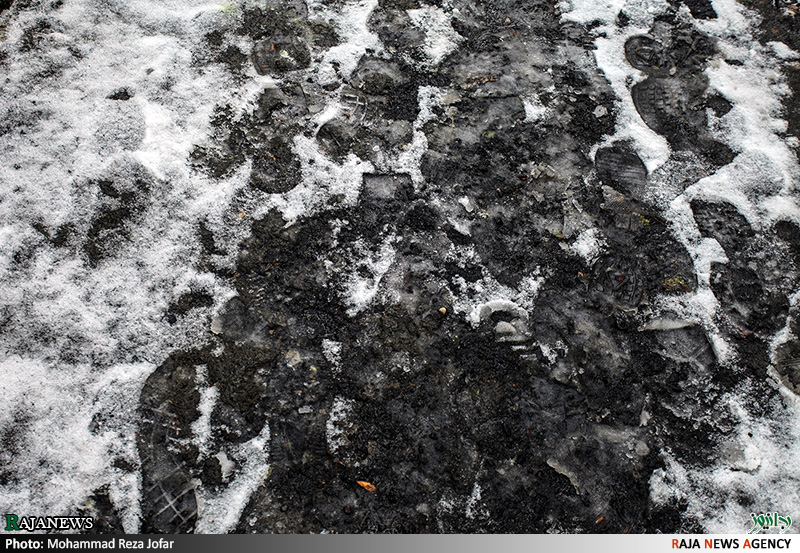 تصاویر:: بارش برف در تهران